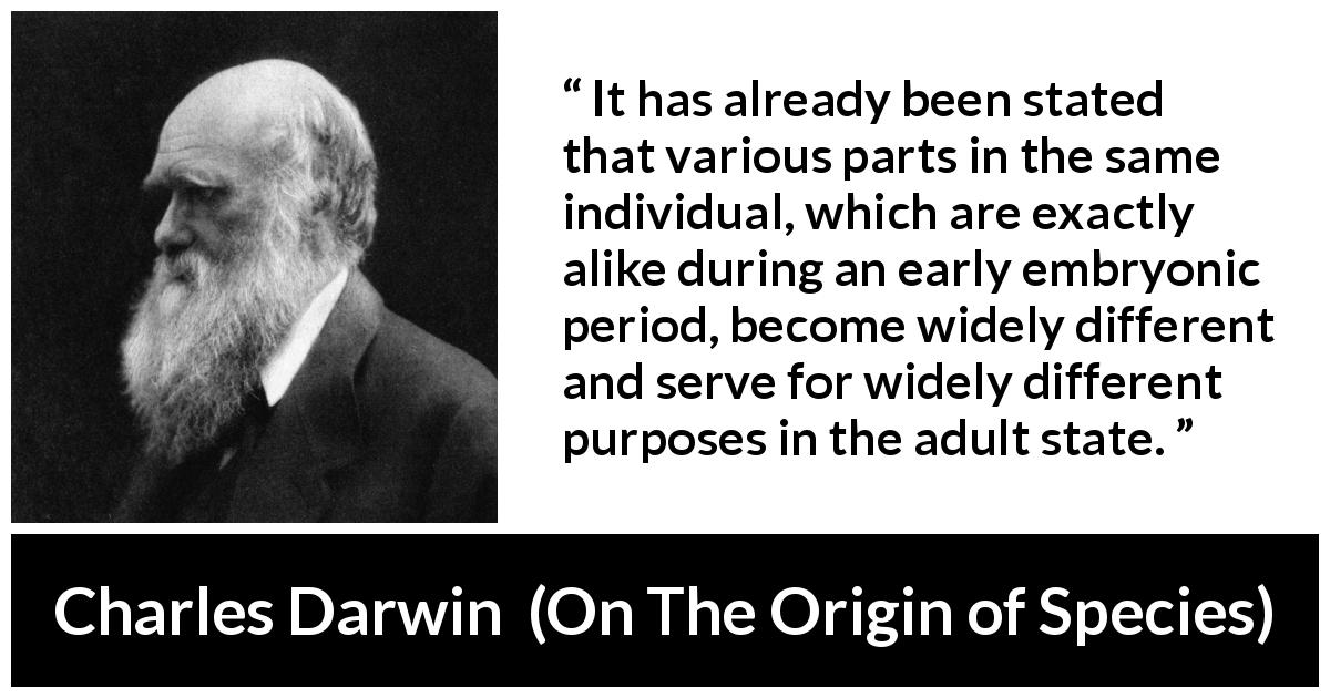 Charles Darwin quote about adult from On The Origin of Species - It has already been stated that various parts in the same individual, which are exactly alike during an early embryonic period, become widely different and serve for widely different purposes in the adult state.