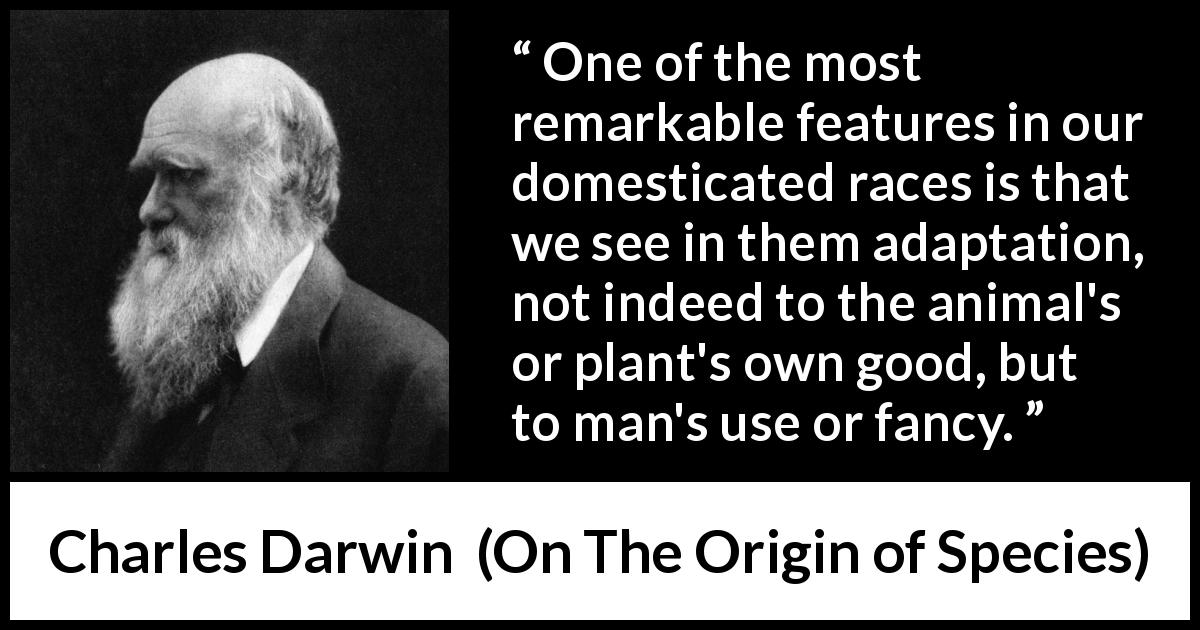 Charles Darwin quote about animals from On The Origin of Species - One of the most remarkable features in our domesticated races is that we see in them adaptation, not indeed to the animal's or plant's own good, but to man's use or fancy.