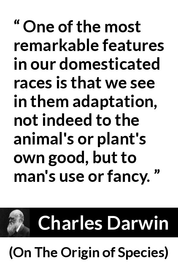 Charles Darwin quote about animals from On The Origin of Species - One of the most remarkable features in our domesticated races is that we see in them adaptation, not indeed to the animal's or plant's own good, but to man's use or fancy.