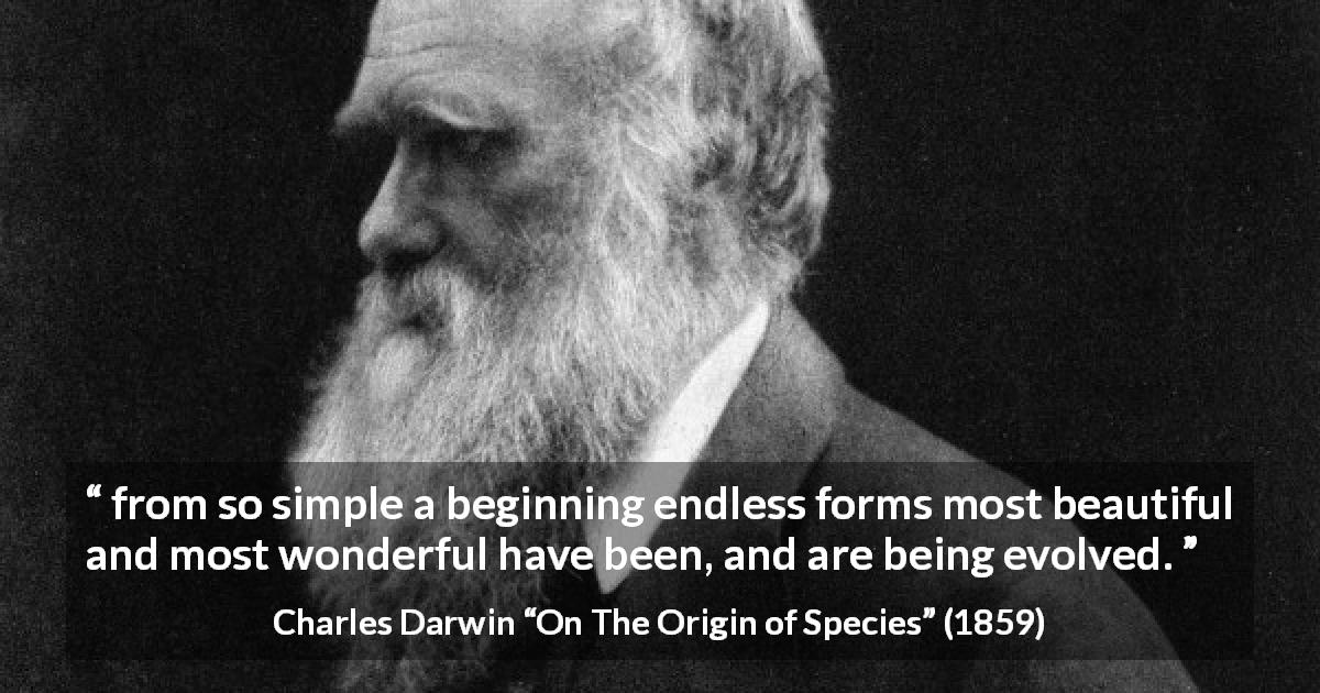 Charles Darwin quote about beauty from On The Origin of Species - from so simple a beginning endless forms most beautiful and most wonderful have been, and are being evolved.