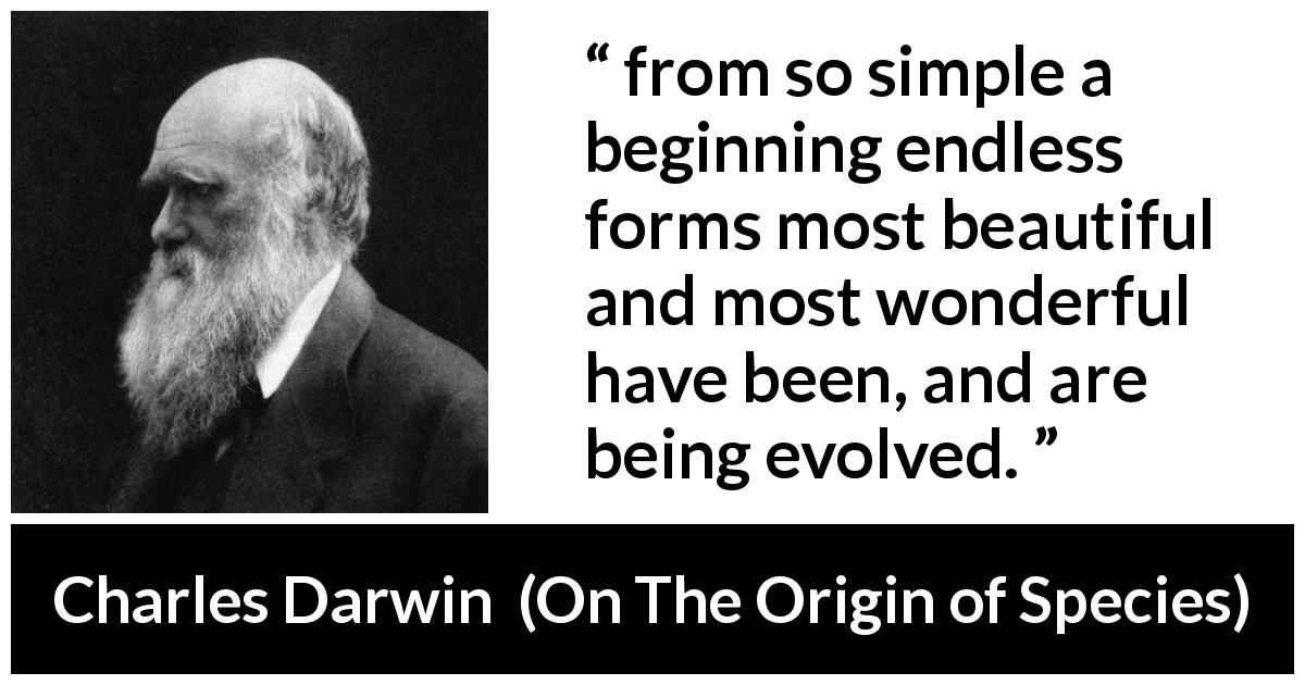 Charles Darwin quote about beauty from On The Origin of Species - from so simple a beginning endless forms most beautiful and most wonderful have been, and are being evolved.