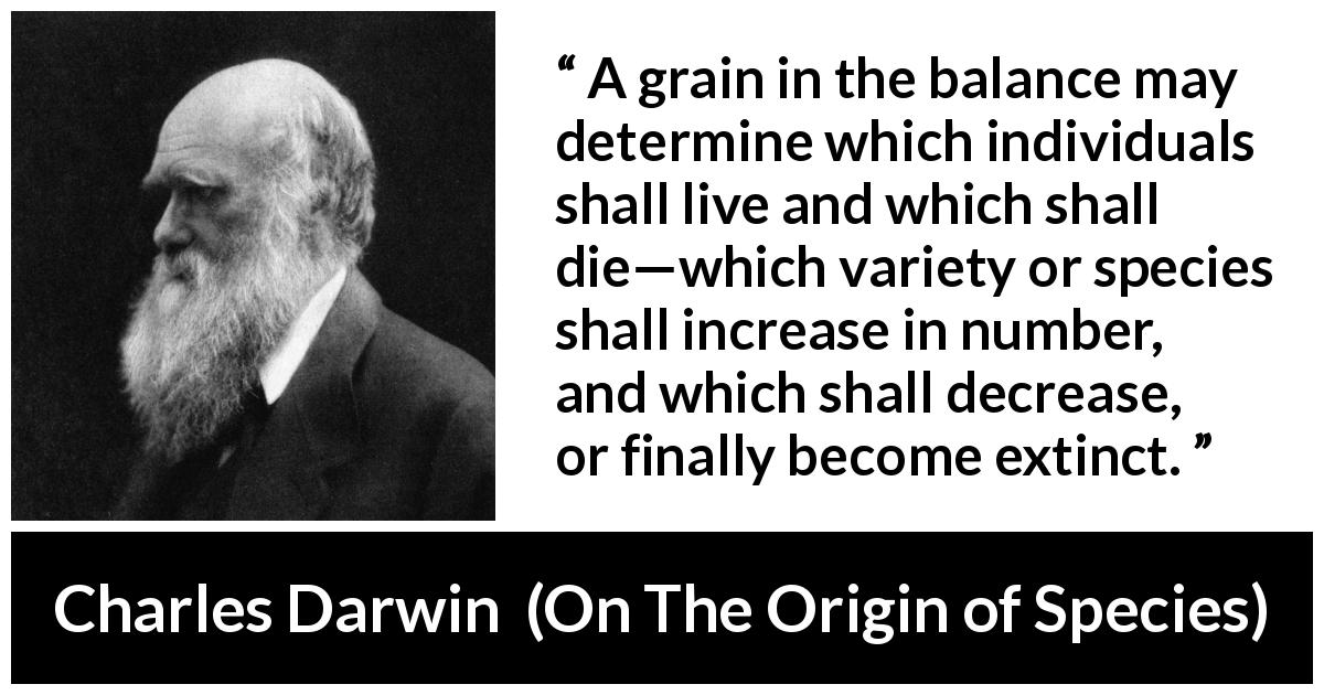 Charles Darwin quote about death from On The Origin of Species - A grain in the balance may determine which individuals shall live and which shall die—which variety or species shall increase in number, and which shall decrease, or finally become extinct.