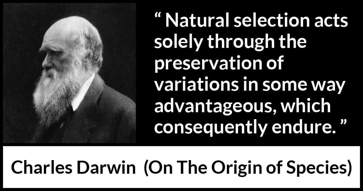 Charles Darwin quote about evolution from On The Origin of Species - Natural selection acts solely through the preservation of variations in some way advantageous, which consequently endure.