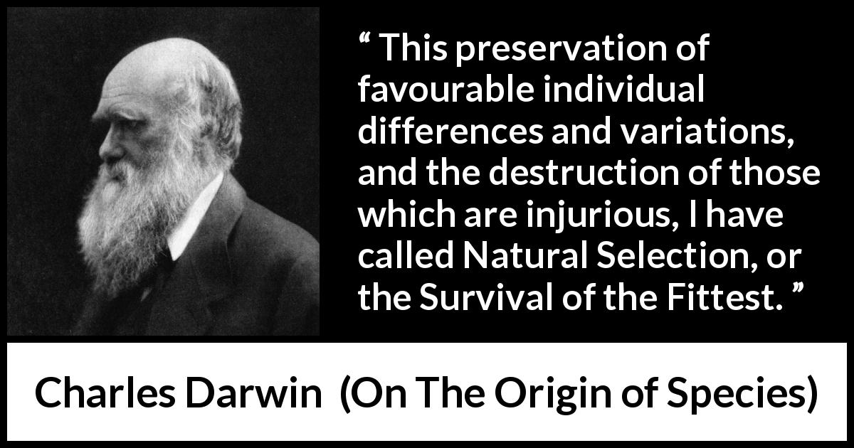 Charles Darwin quote about evolution from On The Origin of Species - This preservation of favourable individual differences and variations, and the destruction of those which are injurious, I have called Natural Selection, or the Survival of the Fittest.