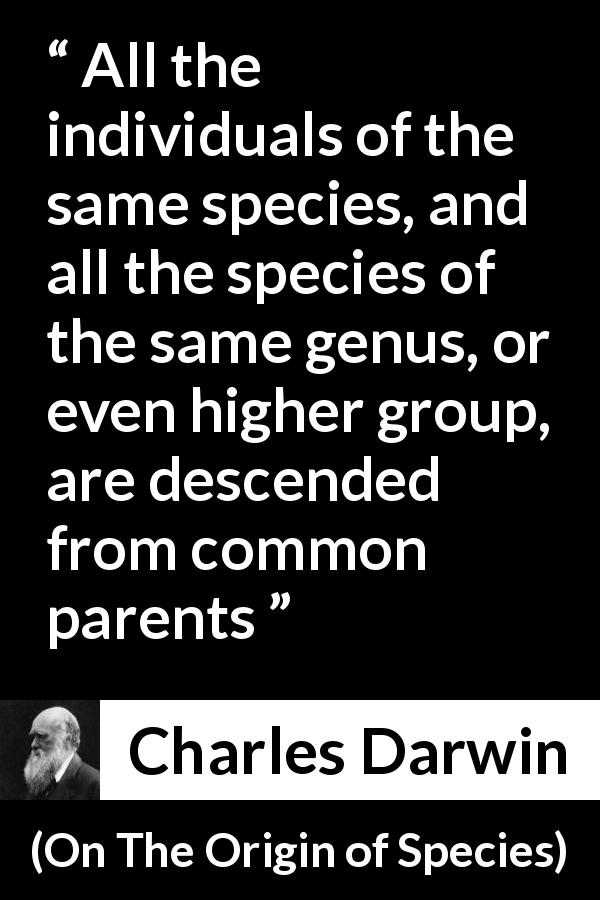 Charles Darwin quote about evolution from On The Origin of Species - All the individuals of the same species, and all the species of the same genus, or even higher group, are descended from common parents