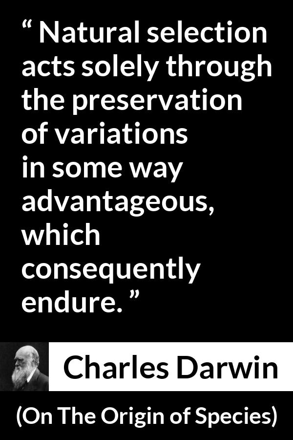 Charles Darwin quote about evolution from On The Origin of Species - Natural selection acts solely through the preservation of variations in some way advantageous, which consequently endure.