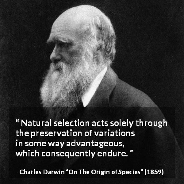 Charles Darwin quote about evolution from On The Origin of Species - Natural selection acts solely through the preservation of variations in some way advantageous, which consequently endure.