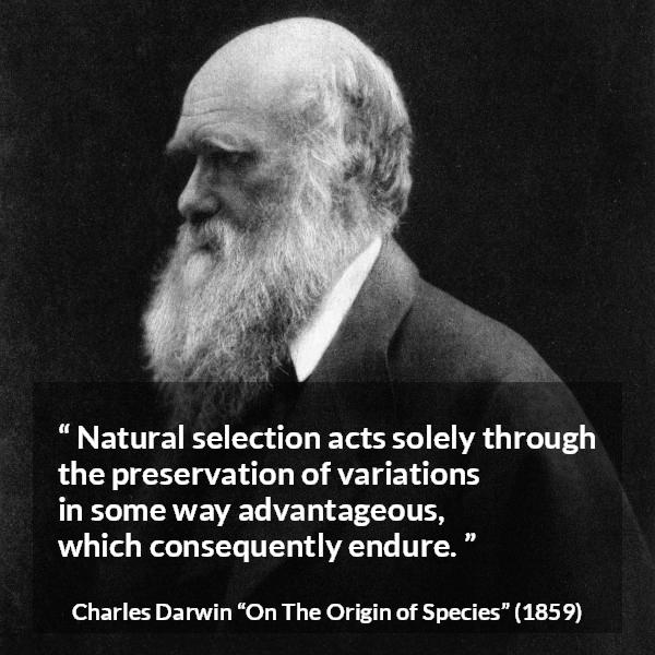 Charles Darwin quote about evolution from On The Origin of Species - Natural selection acts solely through the preservation of variations in some way advantageous, which consequently endure.