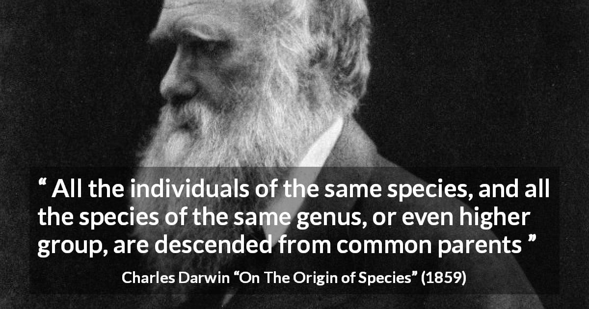 Charles Darwin quote about evolution from On The Origin of Species - All the individuals of the same species, and all the species of the same genus, or even higher group, are descended from common parents