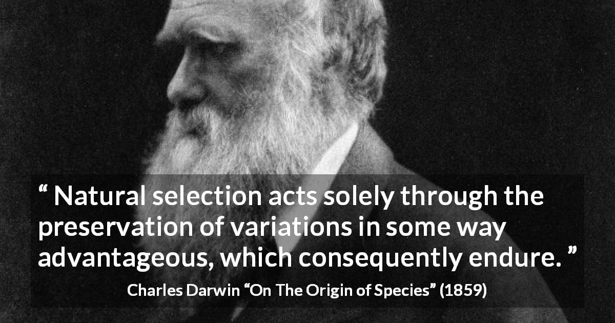 Charles Darwin quote about evolution from On The Origin of Species - Natural selection acts solely through the preservation of variations in some way advantageous, which consequently endure.