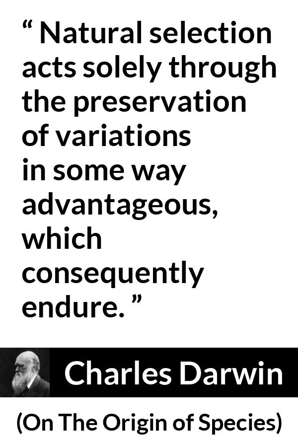 Charles Darwin quote about evolution from On The Origin of Species - Natural selection acts solely through the preservation of variations in some way advantageous, which consequently endure.