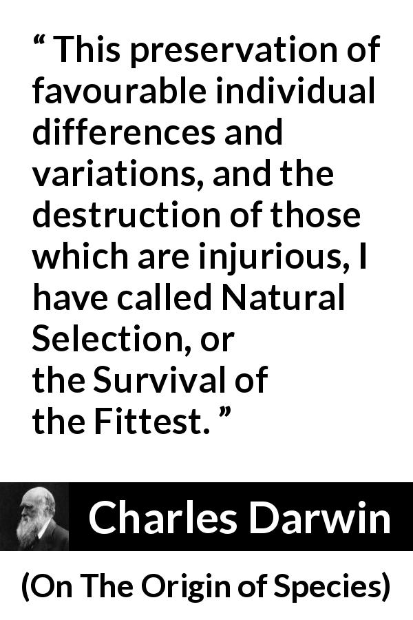 Charles Darwin quote about evolution from On The Origin of Species - This preservation of favourable individual differences and variations, and the destruction of those which are injurious, I have called Natural Selection, or the Survival of the Fittest.
