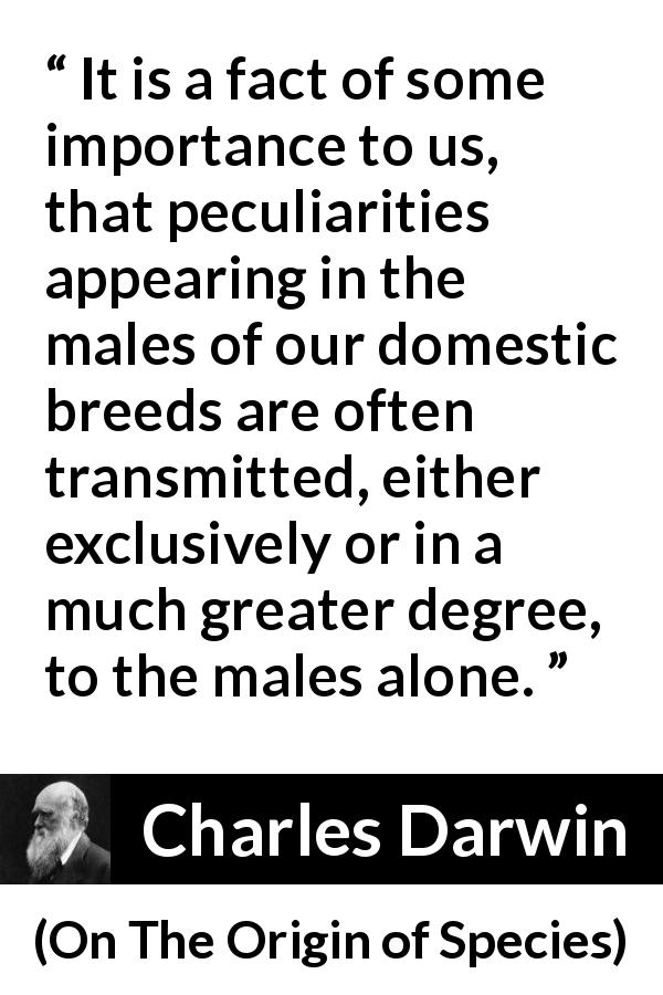 Charles Darwin quote about evolution from On The Origin of Species - It is a fact of some importance to us, that peculiarities appearing in the males of our domestic breeds are often transmitted, either exclusively or in a much greater degree, to the males alone.