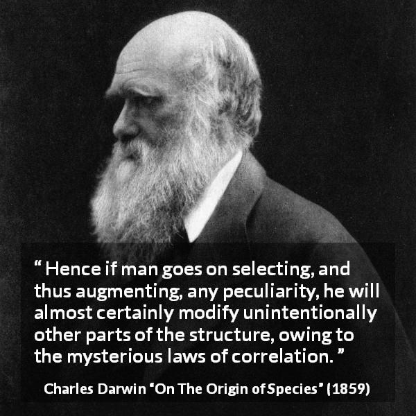 Charles Darwin quote about selection from On The Origin of Species - Hence if man goes on selecting, and thus augmenting, any peculiarity, he will almost certainly modify unintentionally other parts of the structure, owing to the mysterious laws of correlation.