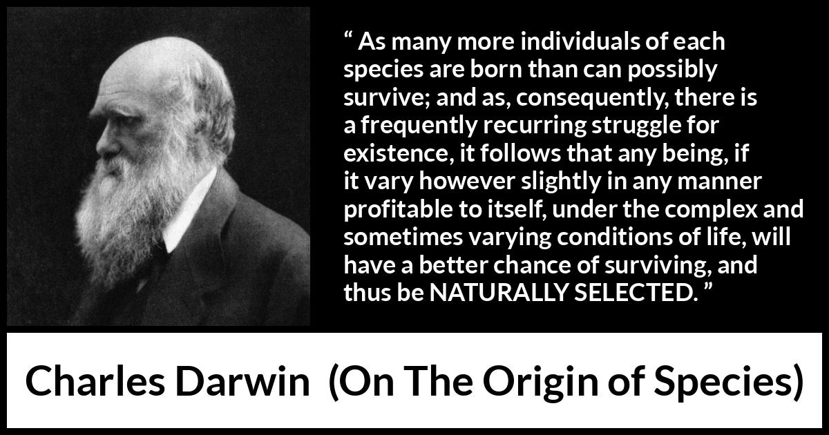 Charles Darwin quote about struggle from On The Origin of Species - As many more individuals of each species are born than can possibly survive; and as, consequently, there is a frequently recurring struggle for existence, it follows that any being, if it vary however slightly in any manner profitable to itself, under the complex and sometimes varying conditions of life, will have a better chance of surviving, and thus be NATURALLY SELECTED.