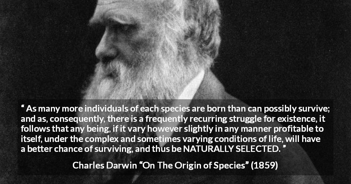 Charles Darwin quote about struggle from On The Origin of Species - As many more individuals of each species are born than can possibly survive; and as, consequently, there is a frequently recurring struggle for existence, it follows that any being, if it vary however slightly in any manner profitable to itself, under the complex and sometimes varying conditions of life, will have a better chance of surviving, and thus be NATURALLY SELECTED.