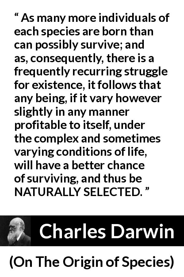 Charles Darwin quote about struggle from On The Origin of Species - As many more individuals of each species are born than can possibly survive; and as, consequently, there is a frequently recurring struggle for existence, it follows that any being, if it vary however slightly in any manner profitable to itself, under the complex and sometimes varying conditions of life, will have a better chance of surviving, and thus be NATURALLY SELECTED.