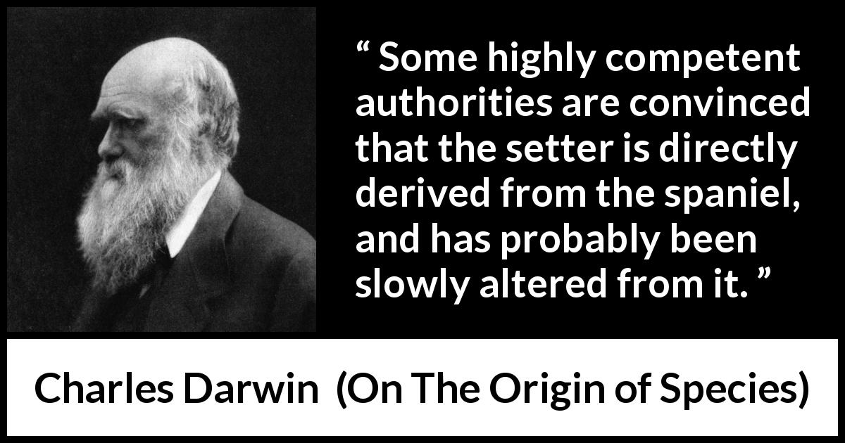 Charles Darwin quote about time from On The Origin of Species - Some highly competent authorities are convinced that the setter is directly derived from the spaniel, and has probably been slowly altered from it.