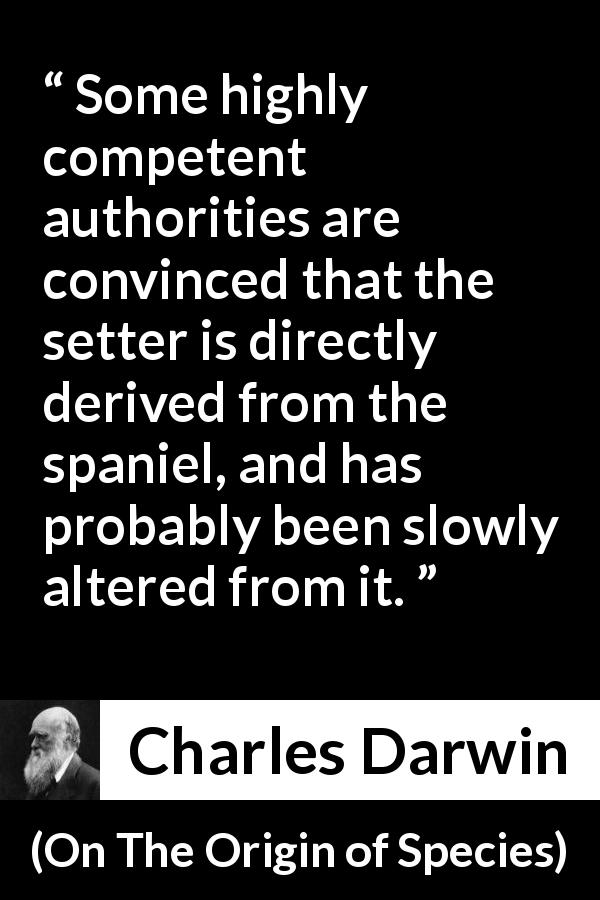 Charles Darwin quote about time from On The Origin of Species - Some highly competent authorities are convinced that the setter is directly derived from the spaniel, and has probably been slowly altered from it.