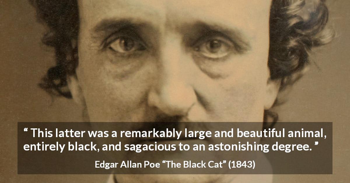 Edgar Allan Poe quote about animal from The Black Cat - This latter was a remarkably large and beautiful animal, entirely black, and sagacious to an astonishing degree.