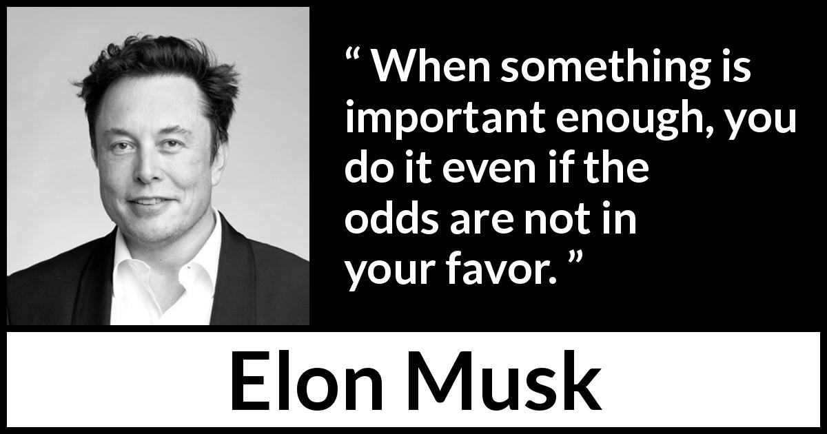 Elon Musk quote about importance - When something is important enough, you do it even if the odds are not in your favor.
