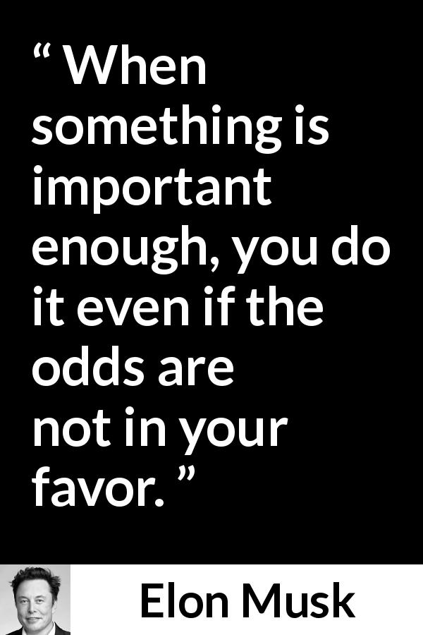 Elon Musk quote about importance - When something is important enough, you do it even if the odds are not in your favor.
