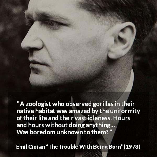 Emil Cioran quote about boredom from The Trouble With Being Born - A zoologist who observed gorillas in their native habitat was amazed by the uniformity of their life and their vast idleness. Hours and hours without doing anything… Was boredom unknown to them?