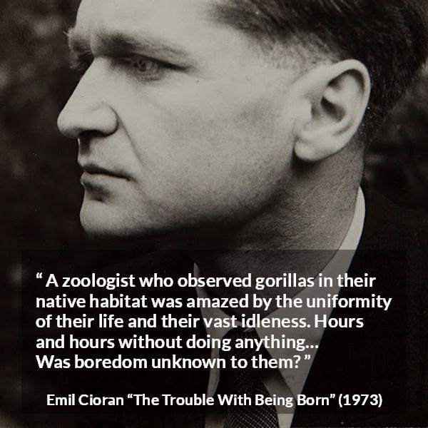 Emil Cioran quote about boredom from The Trouble With Being Born - A zoologist who observed gorillas in their native habitat was amazed by the uniformity of their life and their vast idleness. Hours and hours without doing anything… Was boredom unknown to them?