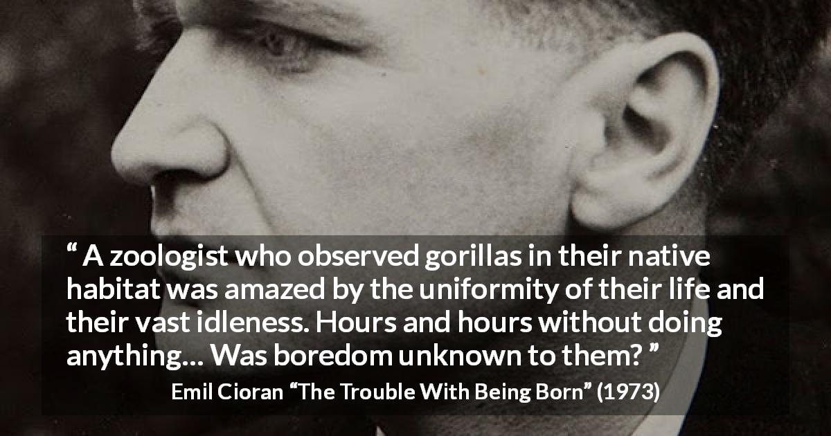 Emil Cioran quote about boredom from The Trouble With Being Born - A zoologist who observed gorillas in their native habitat was amazed by the uniformity of their life and their vast idleness. Hours and hours without doing anything… Was boredom unknown to them?