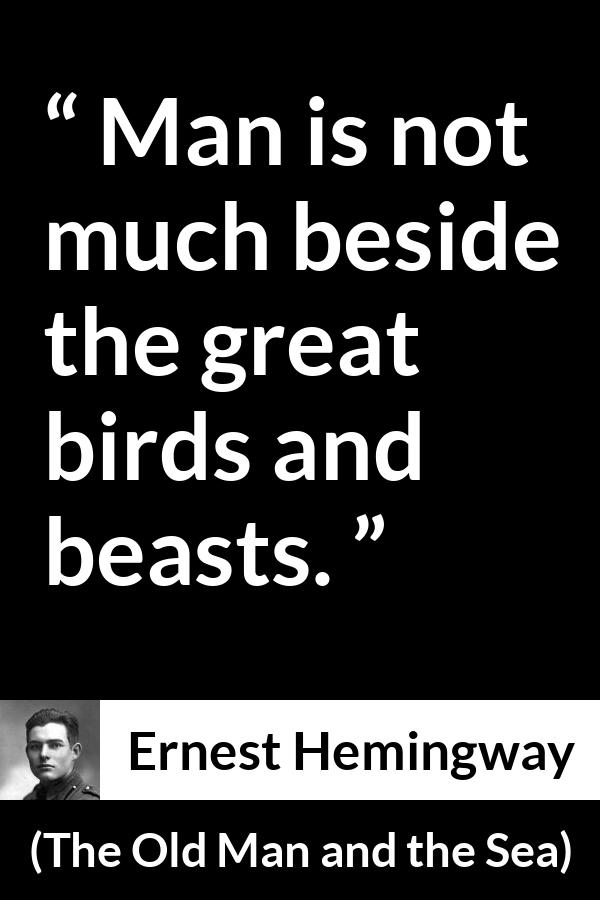 Ernest Hemingway quote about man from The Old Man and the Sea - Man is not much beside the great birds and beasts.