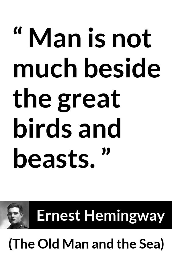 Ernest Hemingway quote about man from The Old Man and the Sea - Man is not much beside the great birds and beasts.