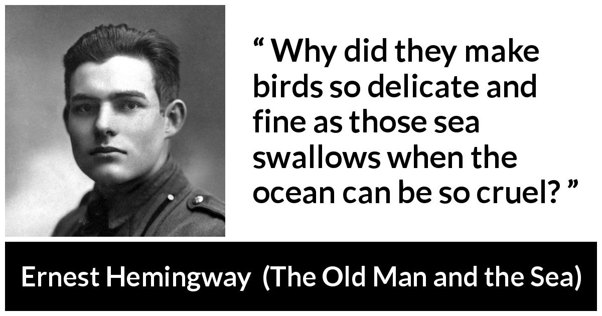 Ernest Hemingway quote about sea from The Old Man and the Sea - Why did they make birds so delicate and fine as those sea swallows when the ocean can be so cruel?