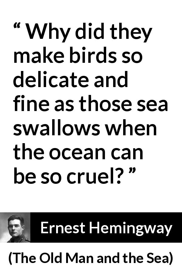 Ernest Hemingway quote about sea from The Old Man and the Sea - Why did they make birds so delicate and fine as those sea swallows when the ocean can be so cruel?