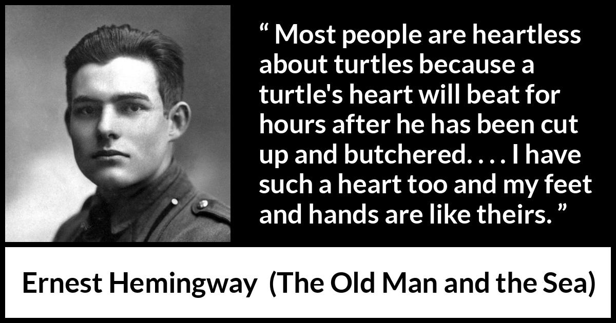 Ernest Hemingway quote about turtle from The Old Man and the Sea - Most people are heartless about turtles because a turtle's heart will beat for hours after he has been cut up and butchered. . . . I have such a heart too and my feet and hands are like theirs.