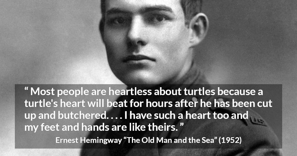 Ernest Hemingway quote about turtle from The Old Man and the Sea - Most people are heartless about turtles because a turtle's heart will beat for hours after he has been cut up and butchered. . . . I have such a heart too and my feet and hands are like theirs.