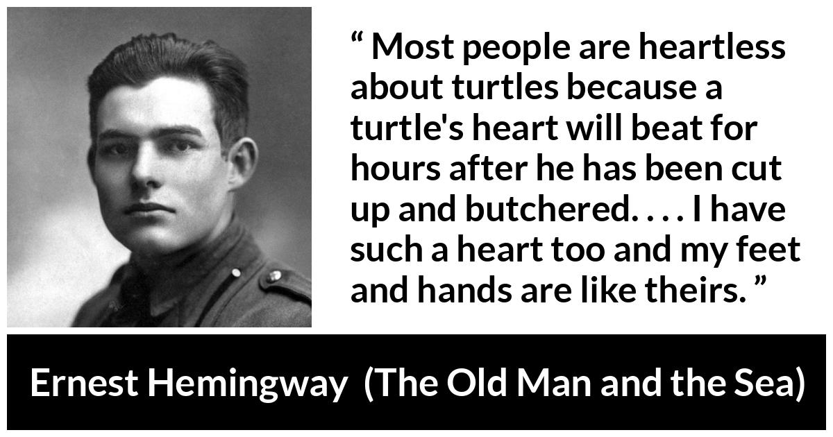 Ernest Hemingway quote about turtle from The Old Man and the Sea - Most people are heartless about turtles because a turtle's heart will beat for hours after he has been cut up and butchered. . . . I have such a heart too and my feet and hands are like theirs.