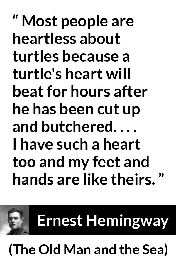 Ernest Hemingway quote about turtle from The Old Man and the Sea - Most people are heartless about turtles because a turtle's heart will beat for hours after he has been cut up and butchered. . . . I have such a heart too and my feet and hands are like theirs.