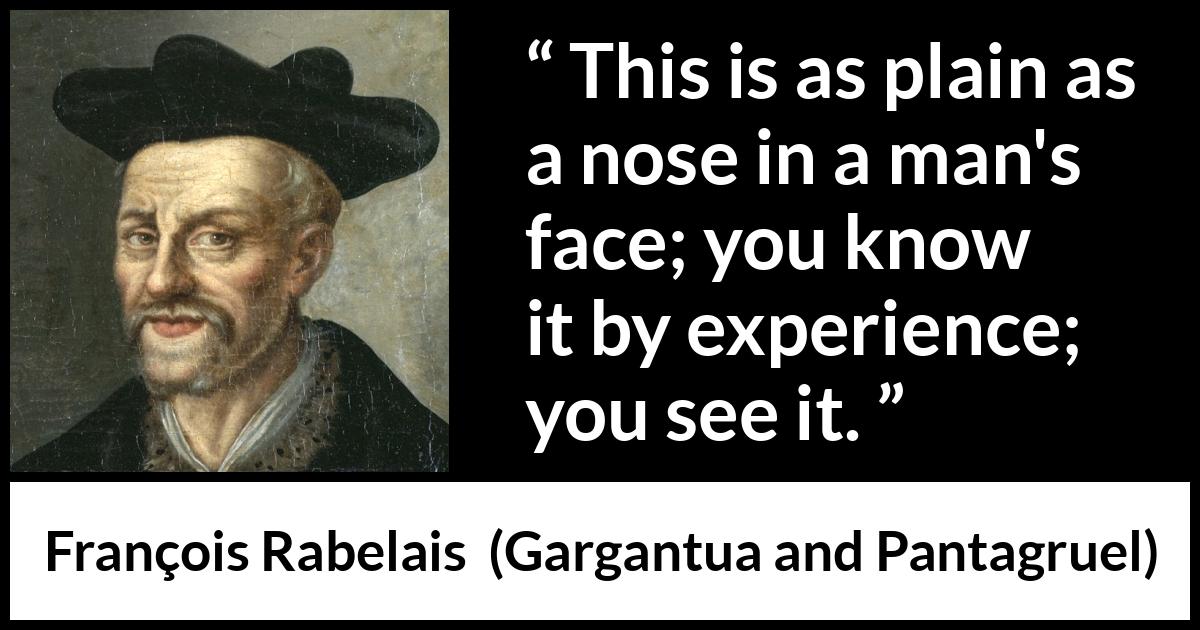 François Rabelais quote about face from Gargantua and Pantagruel (1534) François Rabelais quote about face from Gargantua and Pantagruel (1534) - This is as plain as a nose in a man's face; you know it by experience; you see it.