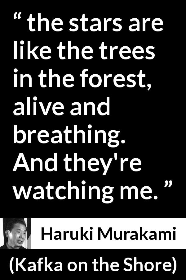 Haruki Murakami quote about stars from Kafka on the Shore - the stars are like the trees in the forest, alive and breathing. And they're watching me.