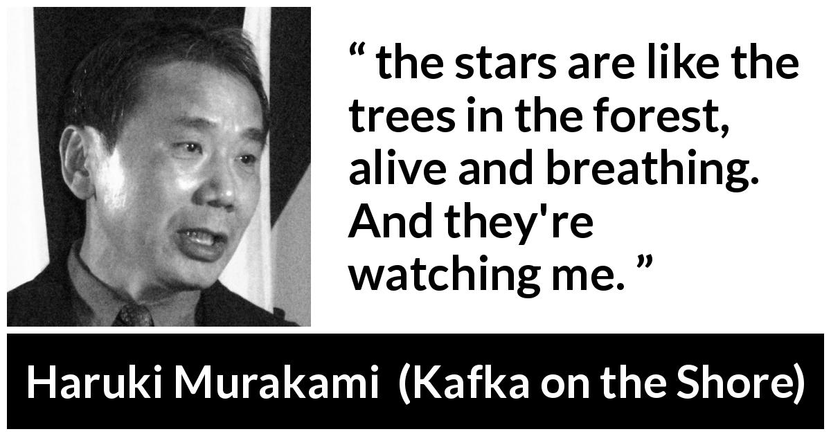 Haruki Murakami quote about stars from Kafka on the Shore - the stars are like the trees in the forest, alive and breathing. And they're watching me.