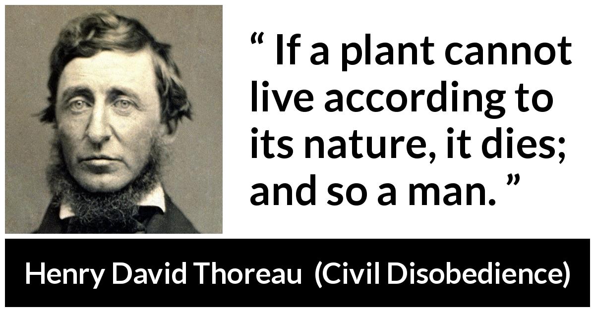 Henry David Thoreau quote about freedom from Civil Disobedience - If a plant cannot live according to its nature, it dies; and so a man.