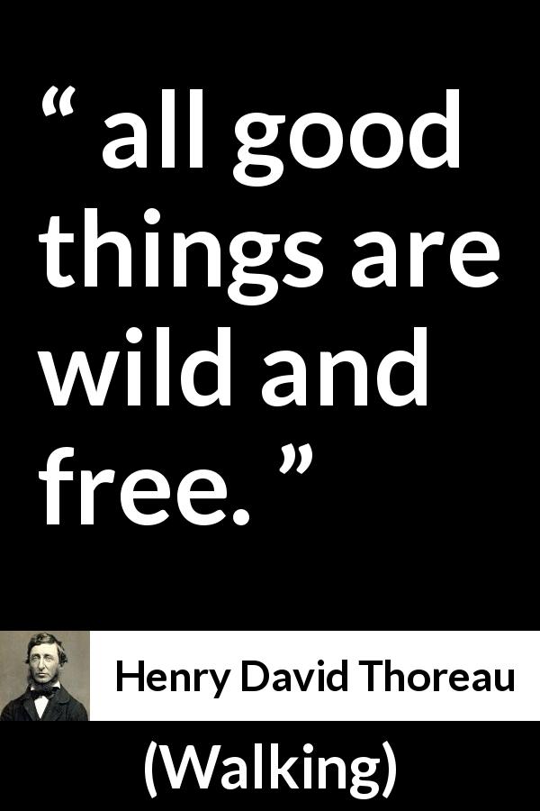 Henry David Thoreau quote about freedom from Walking - all good things are wild and free.