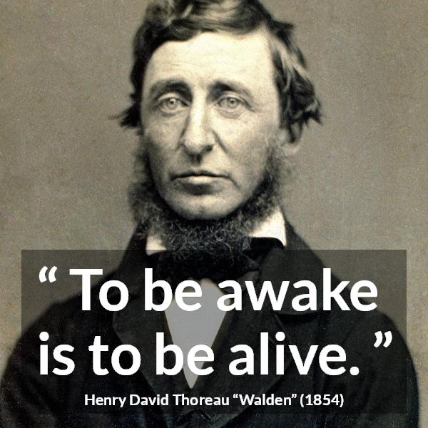 Henry David Thoreau quote about living from Walden - To be awake is to be alive.