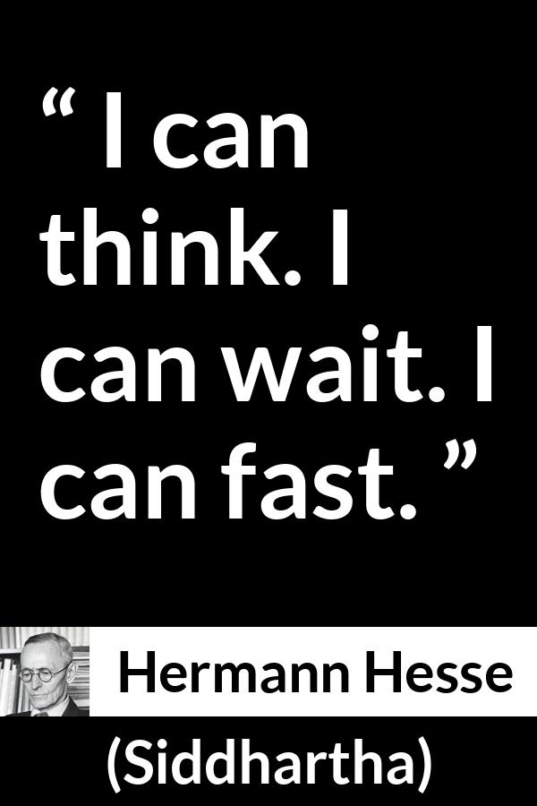 Hermann Hesse quote about waiting from Siddhartha - I can think. I can wait. I can fast.