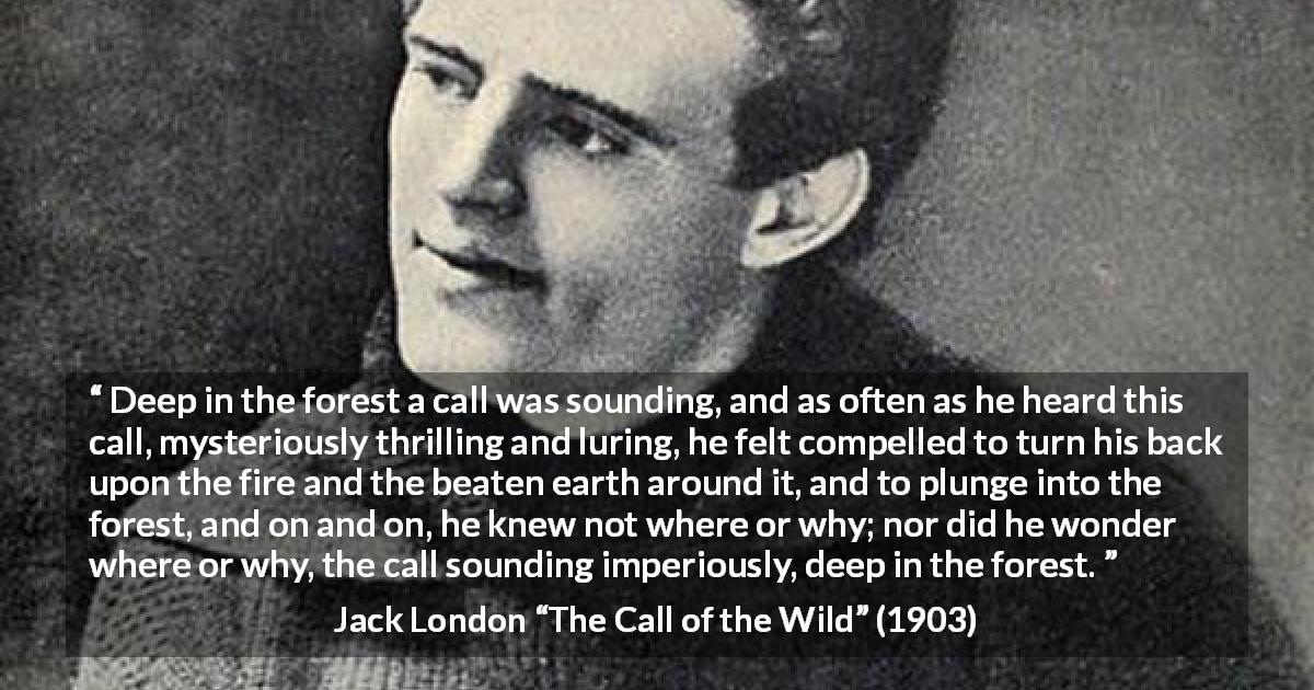 Jack London quote about forest from The Call of the Wild - Deep in the forest a call was sounding, and as often as he heard this call, mysteriously thrilling and luring, he felt compelled to turn his back upon the fire and the beaten earth around it, and to plunge into the forest, and on and on, he knew not where or why; nor did he wonder where or why, the call sounding imperiously, deep in the forest.