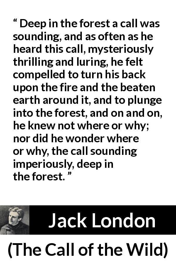 Jack London quote about forest from The Call of the Wild - Deep in the forest a call was sounding, and as often as he heard this call, mysteriously thrilling and luring, he felt compelled to turn his back upon the fire and the beaten earth around it, and to plunge into the forest, and on and on, he knew not where or why; nor did he wonder where or why, the call sounding imperiously, deep in the forest.