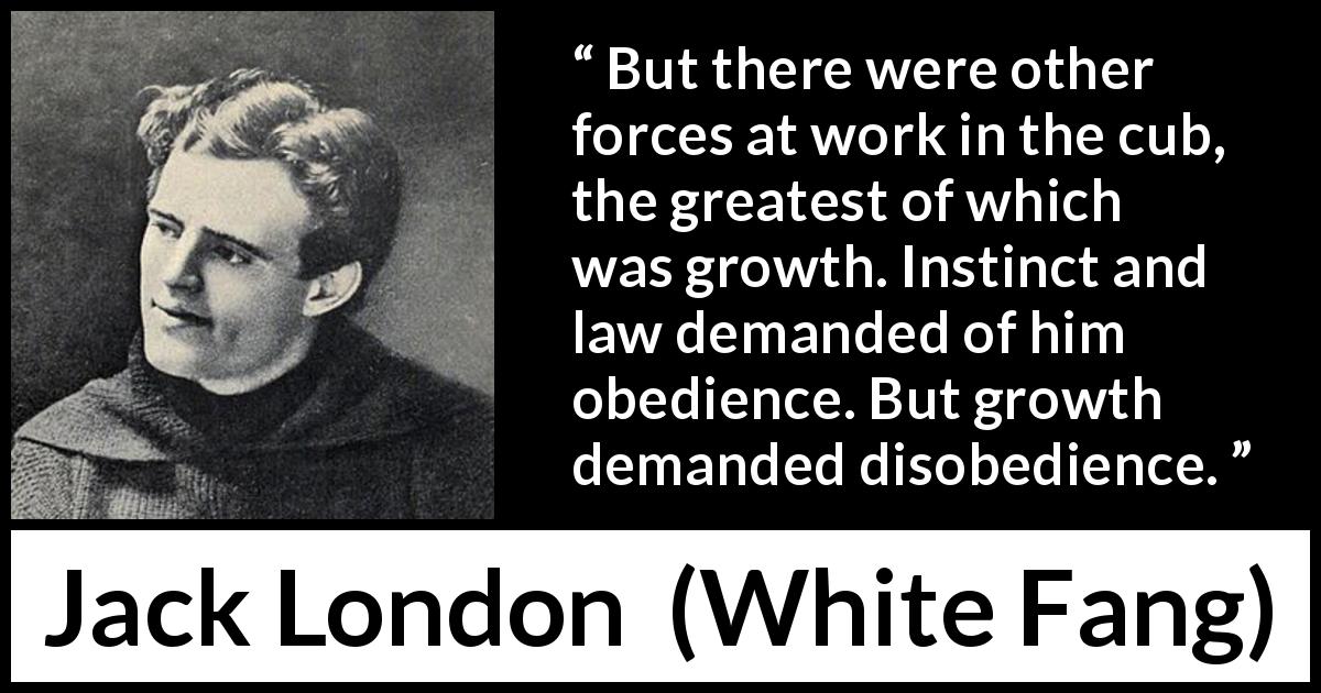 Jack London quote about growth from White Fang - But there were other forces at work in the cub, the greatest of which was growth. Instinct and law demanded of him obedience. But growth demanded disobedience.