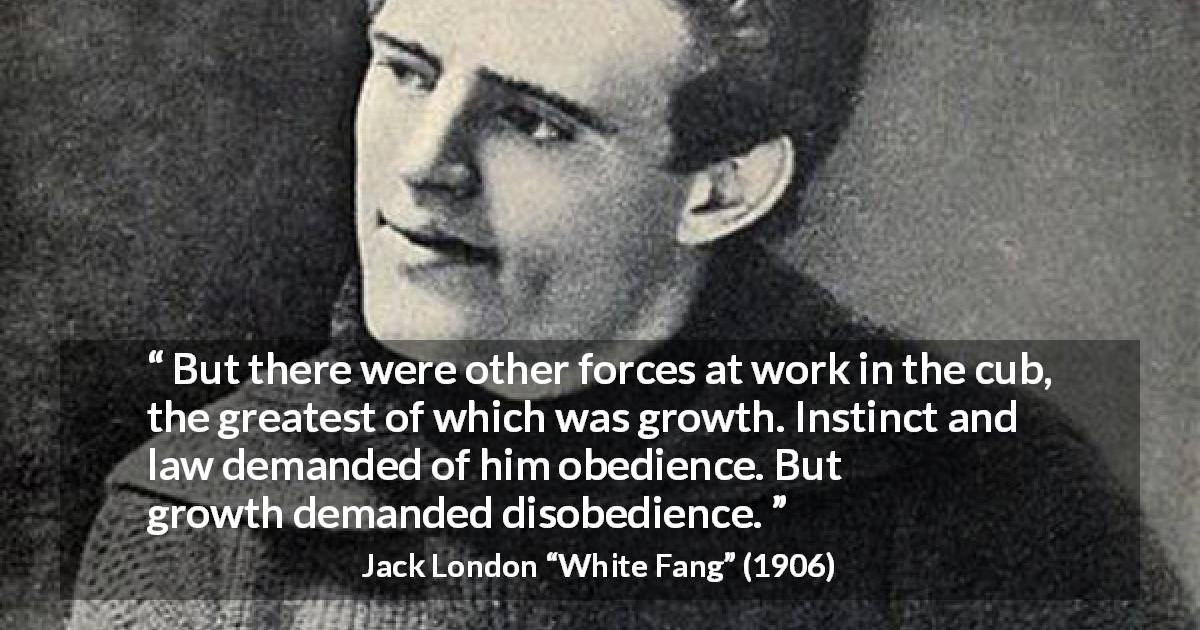 Jack London quote about growth from White Fang - But there were other forces at work in the cub, the greatest of which was growth. Instinct and law demanded of him obedience. But growth demanded disobedience.