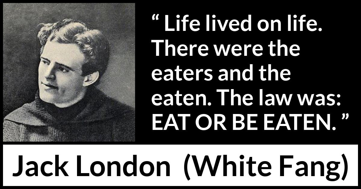 Jack London quote about life from White Fang - Life lived on life. There were the eaters and the eaten. The law was: EAT OR BE EATEN.