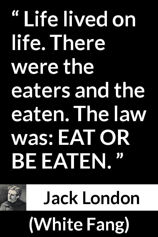 Jack London quote about life from White Fang - Life lived on life. There were the eaters and the eaten. The law was: EAT OR BE EATEN.